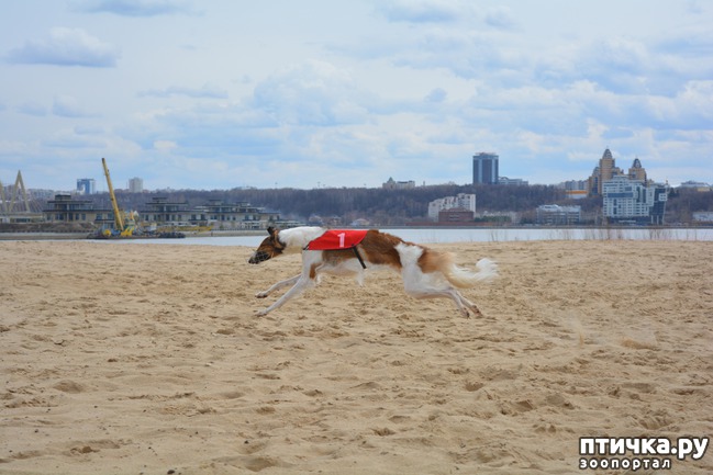 ���� 43: ����� �������-2018 �� ��������