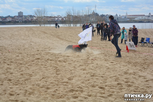 ���� 42: ����� �������-2018 �� ��������