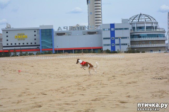 ���� 45: ����� �������-2018 �� ��������