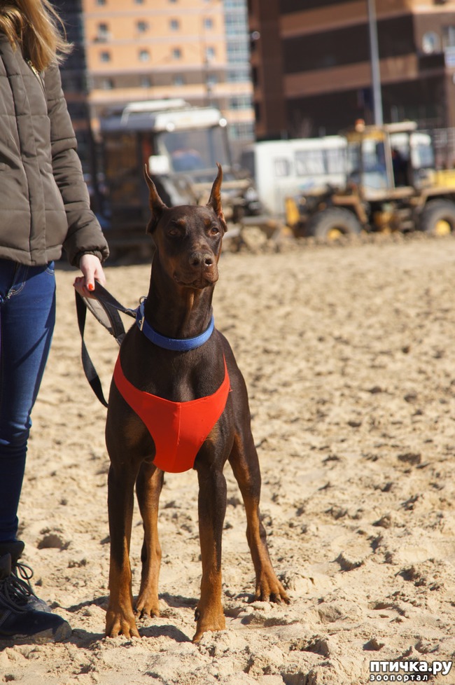 ���� 48: ����� �������-2018 �� ��������