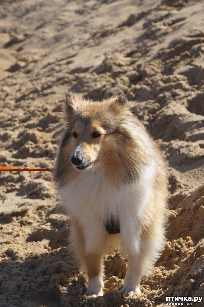 ���� 47: ����� �������-2018 �� ��������