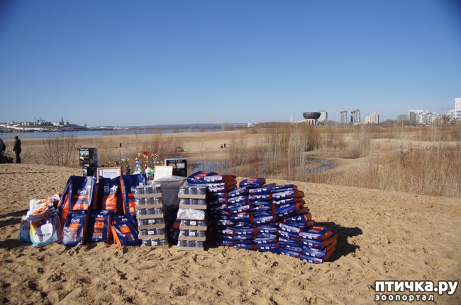 ���� 46: ����� �������-2018 �� ��������