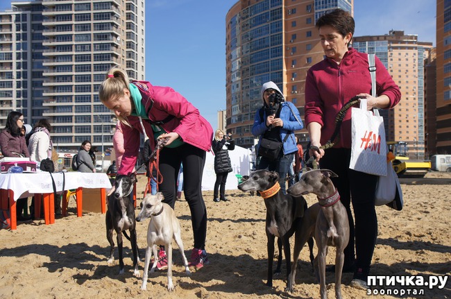 ���� 51: ����� �������-2018 �� ��������