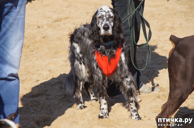 ���� 53: ����� �������-2018 �� ��������