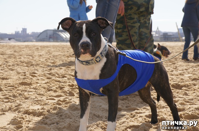 ���� 54: ����� �������-2018 �� ��������