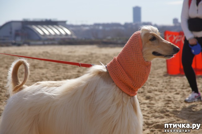 ���� 55: ����� �������-2018 �� ��������