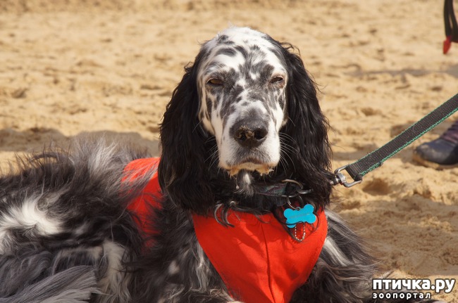 ���� 56: ����� �������-2018 �� ��������