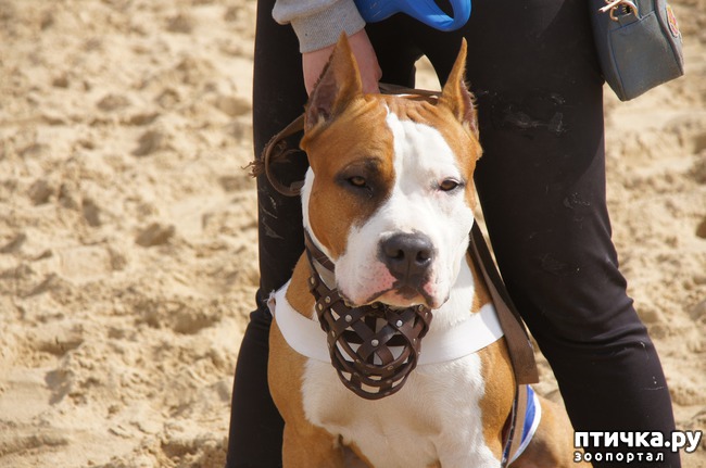 ���� 57: ����� �������-2018 �� ��������