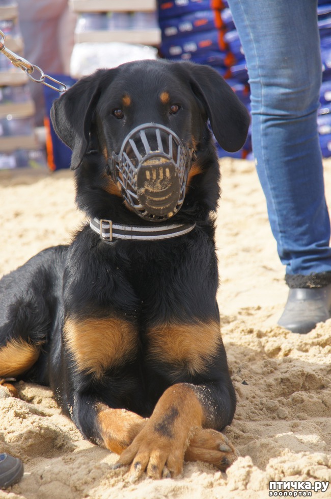 ���� 58: ����� �������-2018 �� ��������