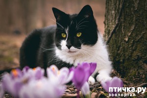 ����: �����!