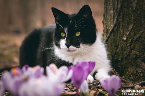 ���� 1: �����!