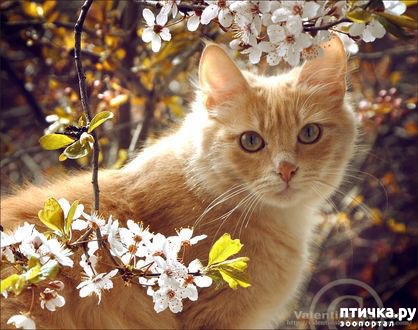 ���� 3: �����!