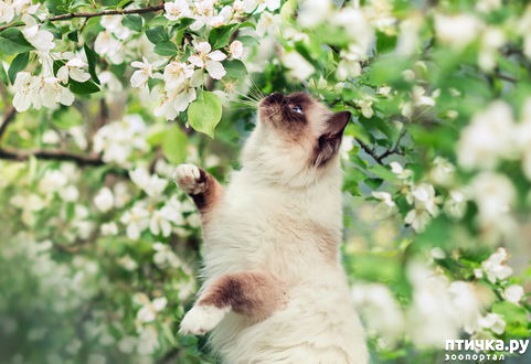 ���� 5: �����!