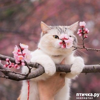 ���� 7: �����!