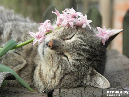 ���� 11: �����!