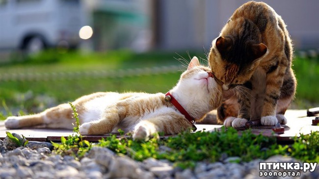 ���� 17: �����!