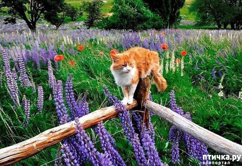 ���� 8: �����!