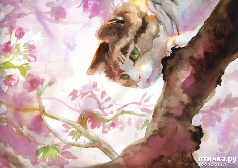 ���� 9: �����!