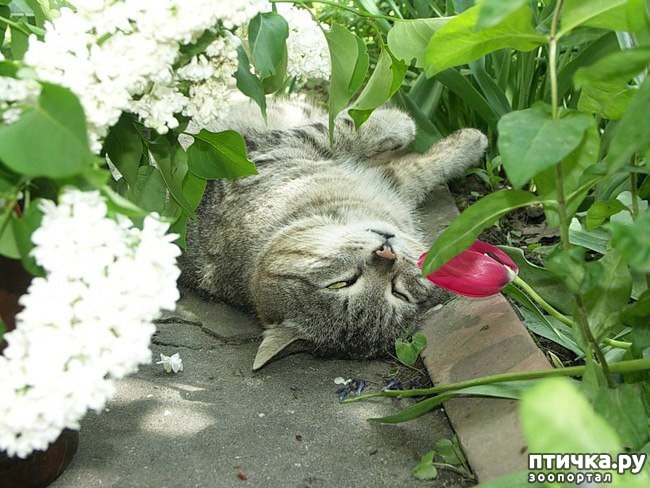 ���� 16: �����!