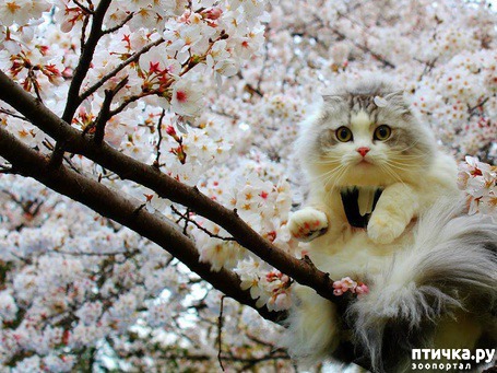 ���� 14: �����!