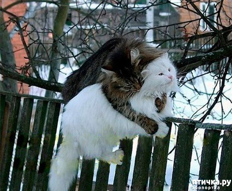 ���� 13: �����!