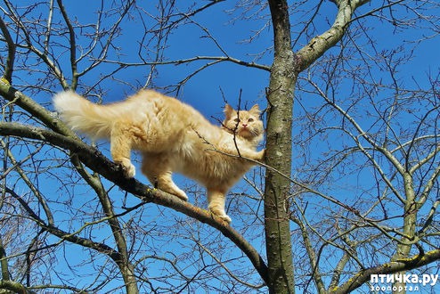 ���� 4: �����!