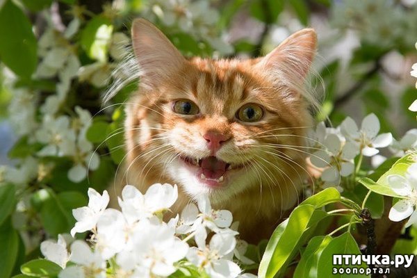 ���� 20: �����!