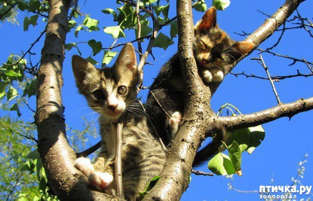 ���� 10: �����!