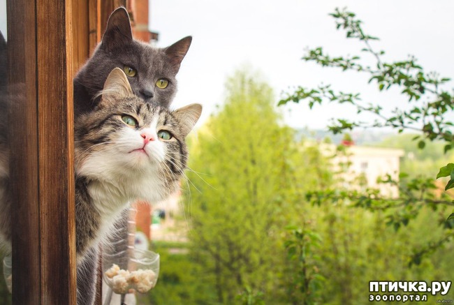 ���� 19: �����!