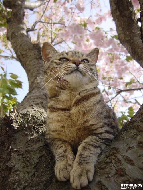 ���� 24: �����!