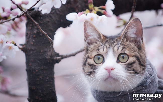 ���� 23: �����!