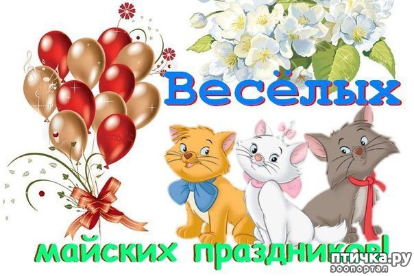 фото 5: МИР! ДРУЖБА! ТРУД! МАЙ! С ПРАЗДНИКОМ СОЛИДАРНОСТИ!