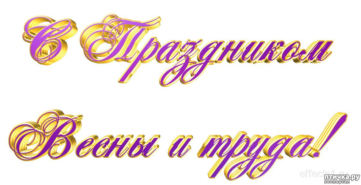 Май слово картинка