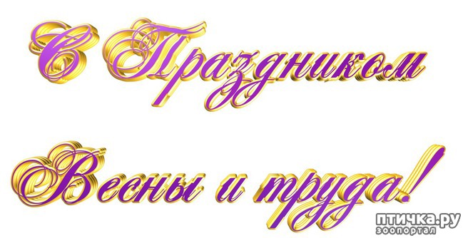 фото 2: МИР! ДРУЖБА! ТРУД! МАЙ! С ПРАЗДНИКОМ СОЛИДАРНОСТИ!
