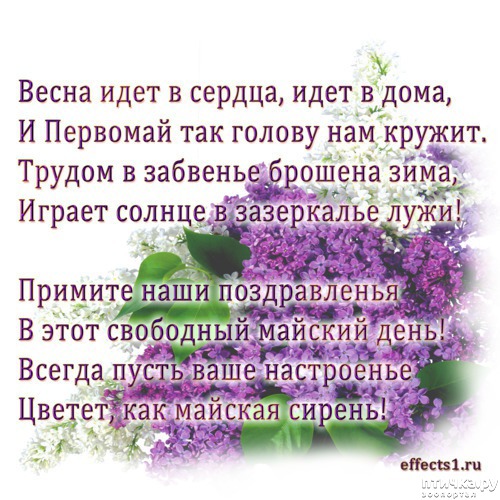 фото 3: МИР! ДРУЖБА! ТРУД! МАЙ! С ПРАЗДНИКОМ СОЛИДАРНОСТИ!