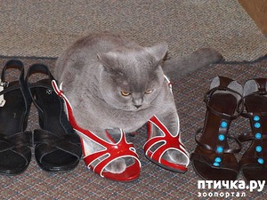 ����: ������ ����������!