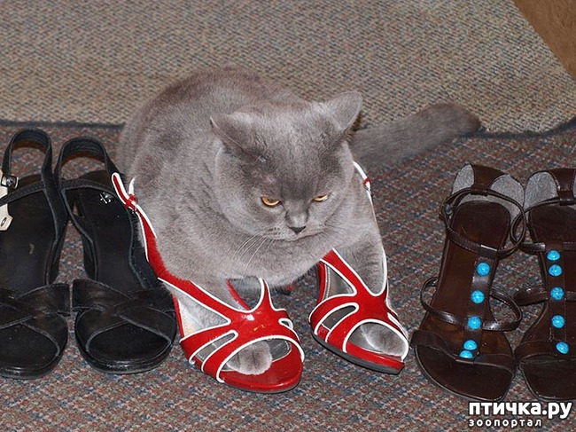 ���� 1: ������ ����������!