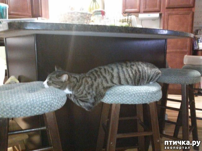 ���� 3: ������ ����������!