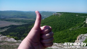 ����: ��, ��� ���� � �����!