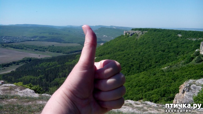 ���� 1: ��, ��� ���� � �����!