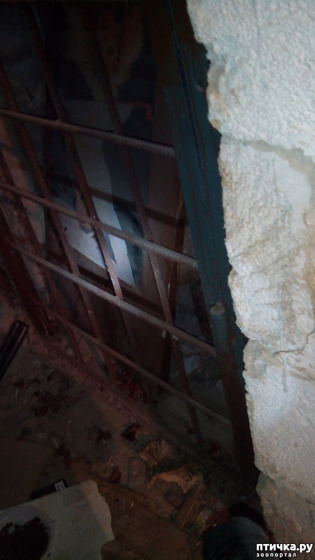 ���� 2: ���������-����������