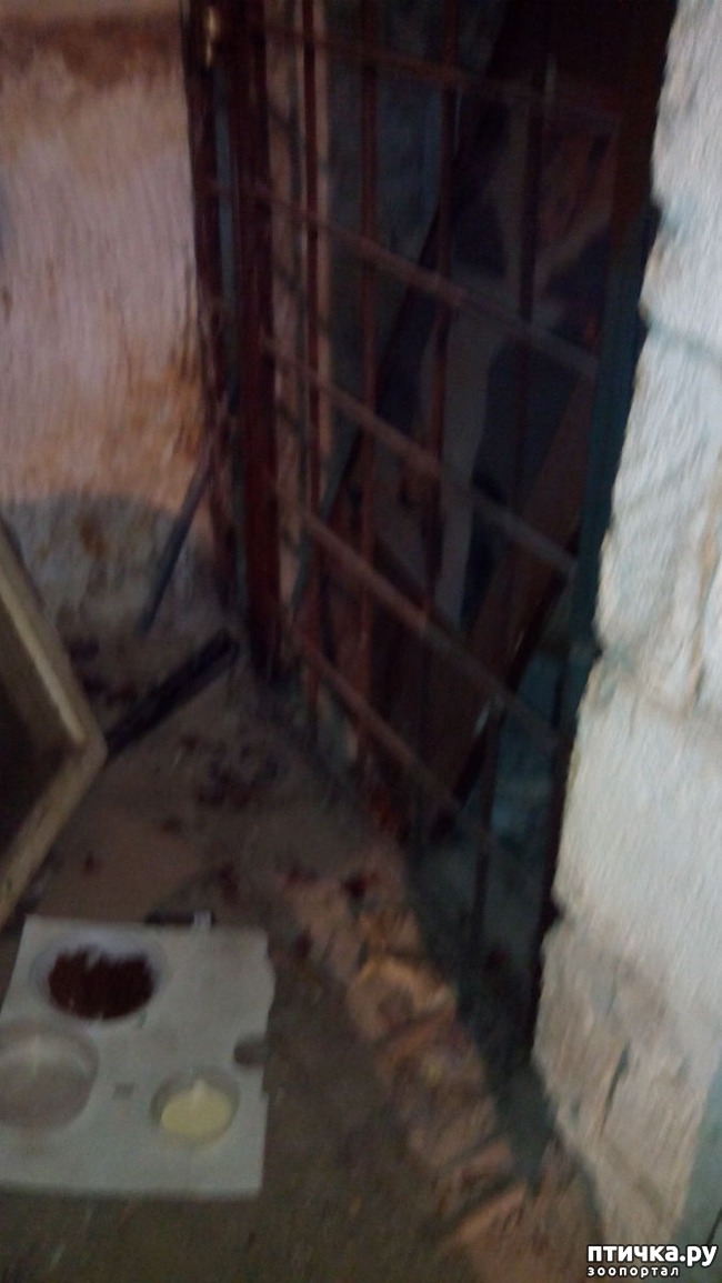 ���� 4: ���������-����������