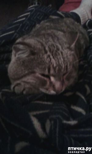 ����: ������ ���