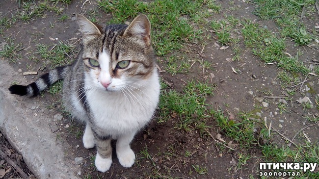 ���� 6: ���������-����������