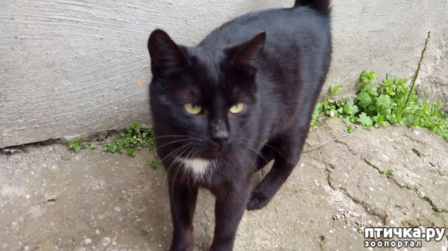 ���� 3: ���������-����������