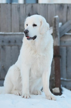 ����: �������� " �� ������� ����"