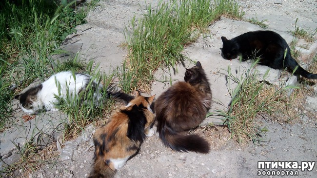 ���� 5: ���������-����������