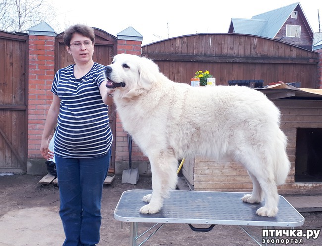 фото 3: Выходные всей семьей