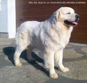 ����: ���� ���� �. �. 08.03.2018.