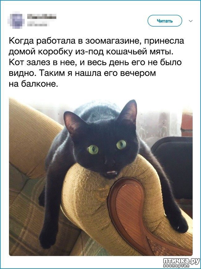 ���� 1: ��� ����������